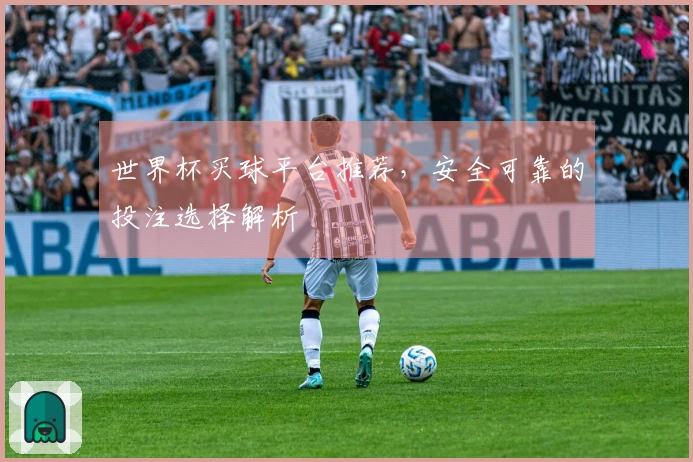 世界杯买球平台推荐，安全可靠的投注选择解析