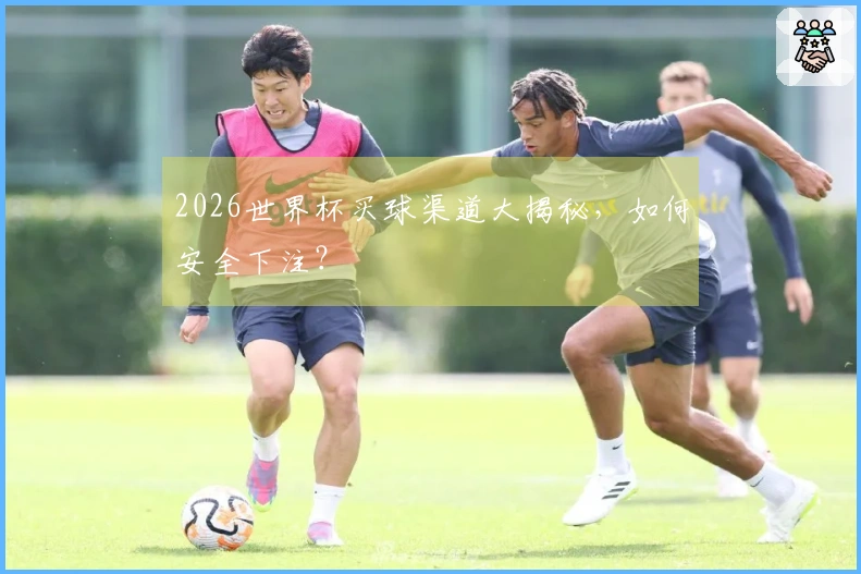 2026世界杯买球渠道大揭秘，如何安全下注？