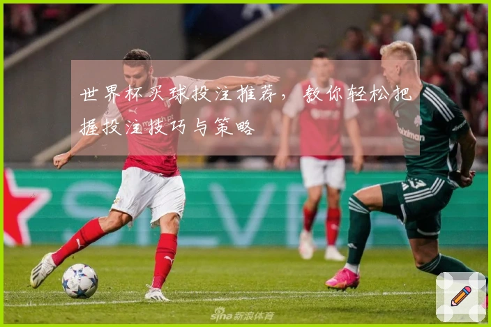 世界杯买球投注推荐，教你轻松把握投注技巧与策略