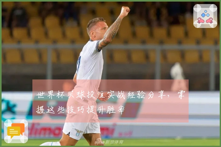 世界杯买球投注实战经验分享，掌握这些技巧提升胜率