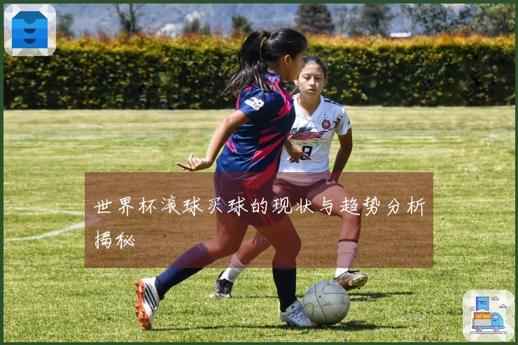 世界杯滚球买球的现状与趋势分析揭秘