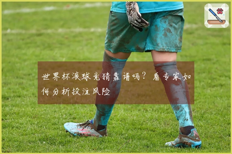 世界杯滚球竞猜靠谱吗？看专家如何分析投注风险
