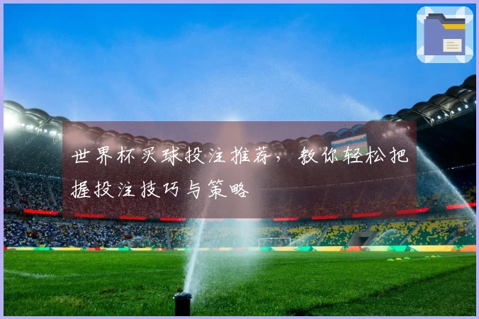 世界杯买球投注推荐，教你轻松把握投注技巧与策略