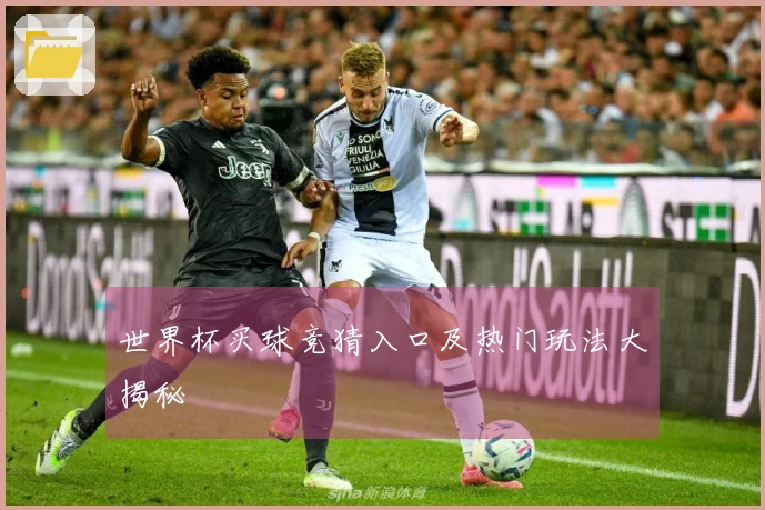 世界杯买球竞猜入口及热门玩法大揭秘