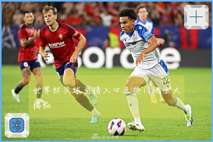 世界杯买球竞猜入口及热门玩法大揭秘