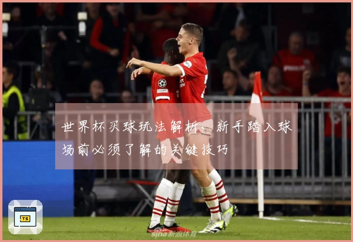 世界杯买球玩法解析，新手踏入球场前必须了解的关键技巧