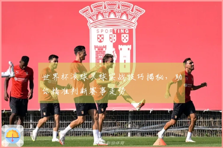 世界杯滚球买球实战技巧揭秘，助你精准判断赛事走势